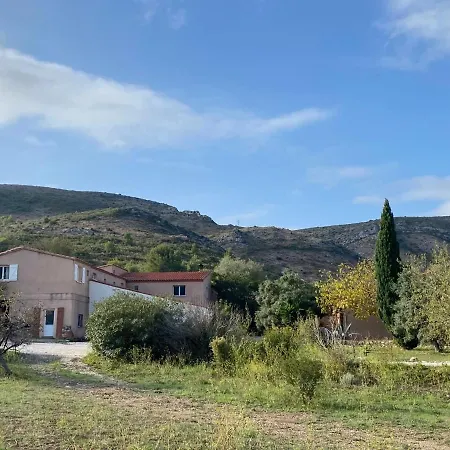 Holiday home Des Oliviers