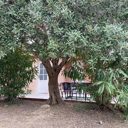 Des Oliviers Holiday home