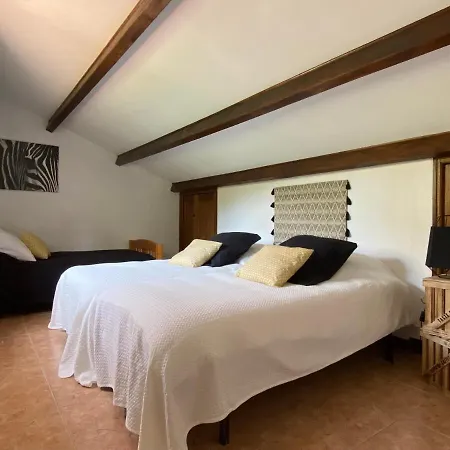 Des Oliviers Cases-de-Pene